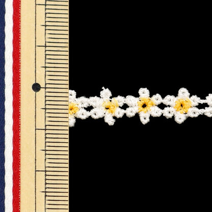 [De la quantité 5] Ruban "FloralRuban 2024 N ° 1 Couleur K231T-Lacep6"