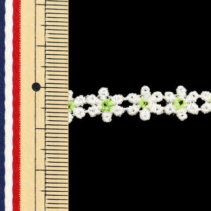 [Из количества 5] Лента "ЦветочныйЛента 2024 № 3 Цвет K231T-LACEP6"