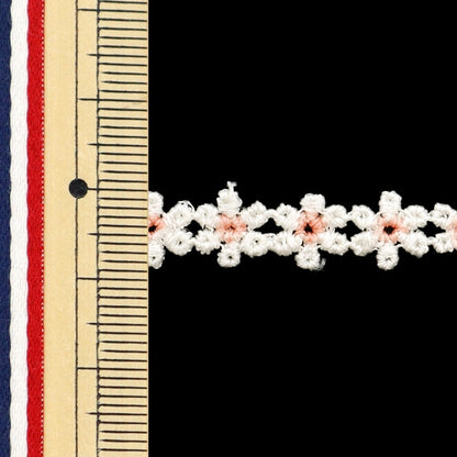 [From quantity 5] Ribbon "FloralRibbon 2024 No. 6 color K231T-Lacep6]