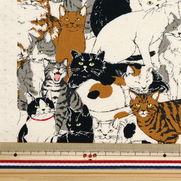 [From quantity 5] Fabric 『Oxford Animal cat pattern 1a number color OX41401-1A]