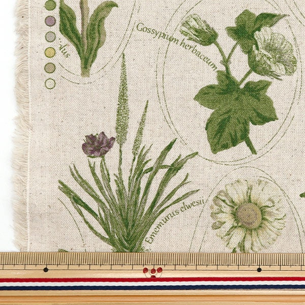 数量5から】 生地 『綿麻キャンバス 植物図鑑柄 ライフグリーン CLPLEN
