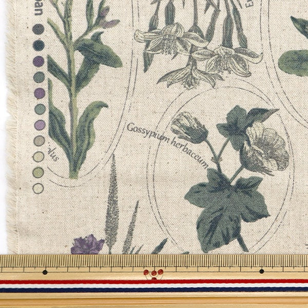 [De la quantité 5] Tissu "Coton Linen Canvas Plant Picture Livre Sepia Purple Clphen-Sepp"