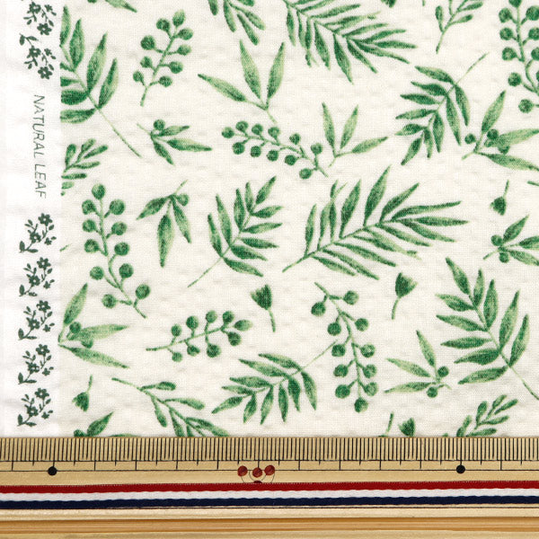 [From quantity 5] Fabric "Ripple adult Ripple Natural Leaf Natural RIPLEAF-NA"