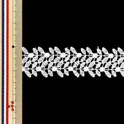 [From quantity 5] RaceRibbonTape "Lace White Approximately 2.5cm Width ISY-6-24-32"