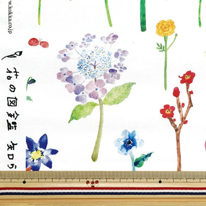 [From quantity 5] Fabric "Paper Message Sheeting Flower picture book EGXA-8005-2a] KOKKA