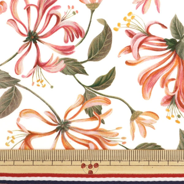 [De 5] Fabric "Liberty Fabric Tanalone Honey Sackle Dance 3634233-24au" Libertad Japón Libertad Japón