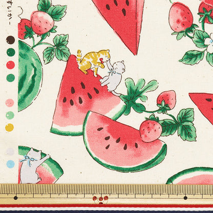 [From quantity 5] Fabric "NOVA Sheeting Watercolor watermelon NSE-WACA-NA " KOKKA 【Yuzawayaoriginal】