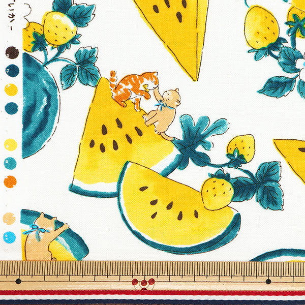 [From quantity 5] Fabric "NOVA Sheeting Watercolor Watermelon White x Yellow NSE-WACA-WHYE " KOKKA 【Yuzawayaoriginal】