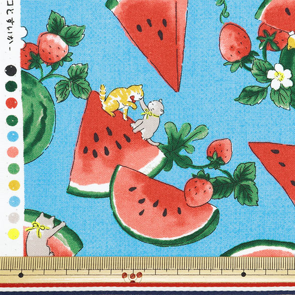 [From quantity 5] Fabric "NOVA Sheeting Watercolor watermelon blue blue NSE-WACA-LBL] KOKKA 【Yuzawayaoriginal】