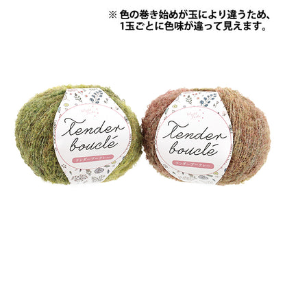 Yarn Tender Boucle 4209 - color winding varies by ball; two balls shown