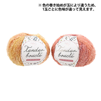 Yarn Tender Boucle 4219 - color winding varies by ball; two balls shown