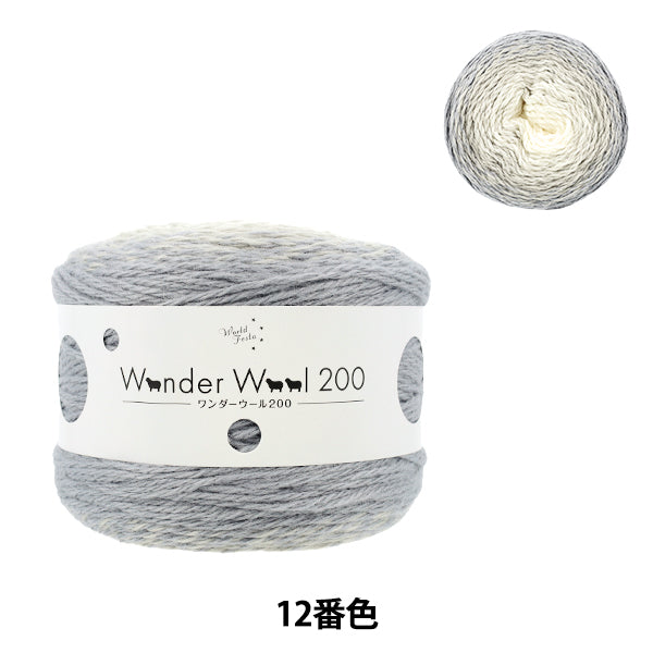 Wonder Wool 200 Color 12 yarn ball - long-gradient fall/winter yarn
