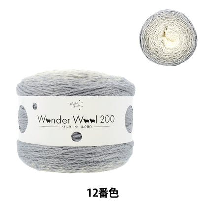 Wonder Wool 200 Color 12 yarn ball - long-gradient fall/winter yarn