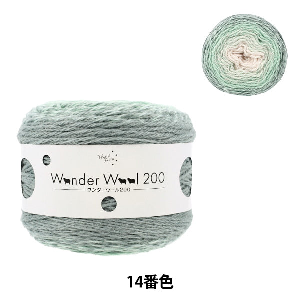 Wonder Wool 200 Color 14 yarn ball - long-gradient fall/winter yarn