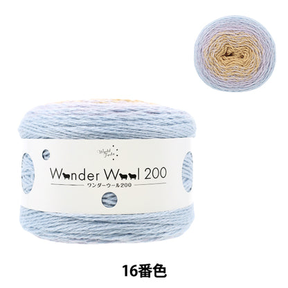 FWonder Wool 200 Color 16 yarn ball - long-gradient fall/winter yarn
