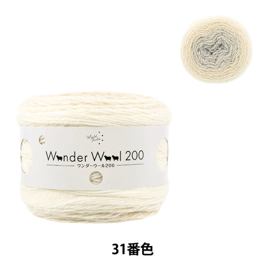 Wonder Wool 200 Color 31 yarn ball - long-gradient fall/winter yarn
