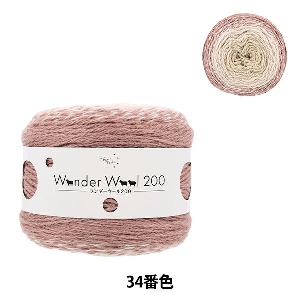 Wonder Wool 200 Color 34 yarn ball- long-gradient fall/winter yarn