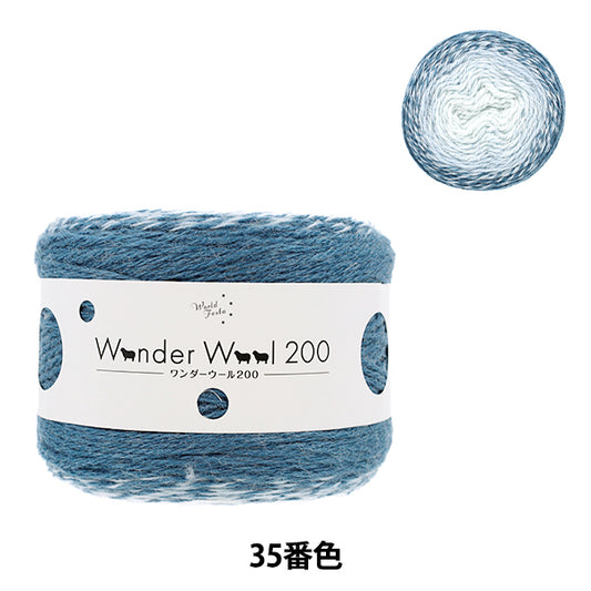 Wonder Wool 200 Color 35 yarn ball - long-gradient fall/winter yarn