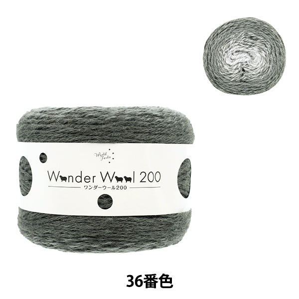 Wonder Wool 200 Color 36 yarn ball - long-gradient fall/winter yarn
