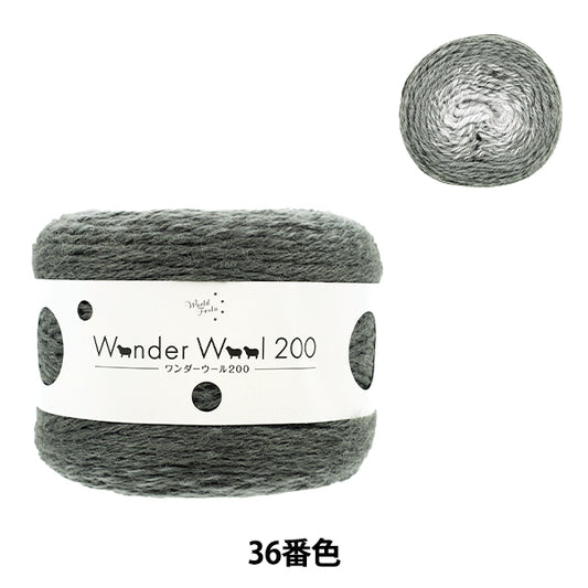 Wonder Wool 200 Color 36 yarn ball - long-gradient fall/winter yarn