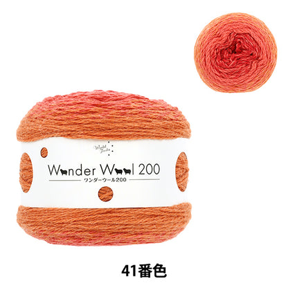 Wonder Wool 200 Color 41 yarn ball - long-gradient fall/winter yarn