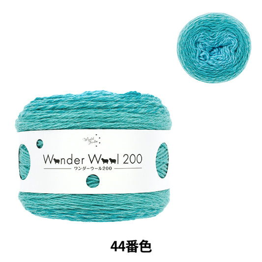 Wonder Wool 200 Color 44 yarn ball - long-gradient fall/winter yarn