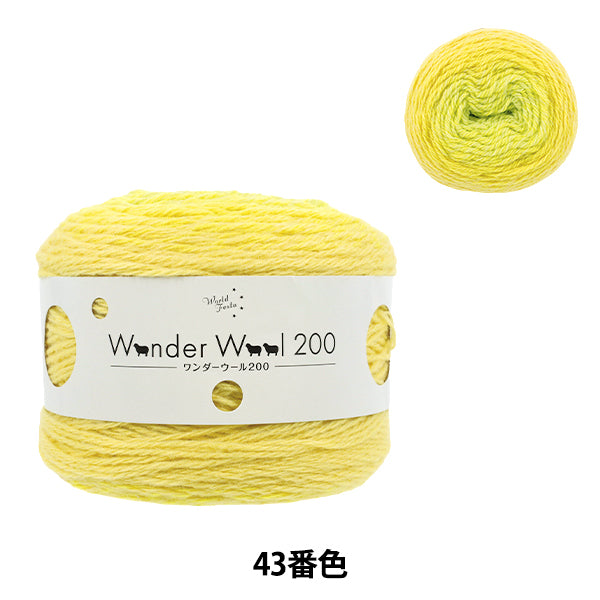 Wonder Wool 200 Color 43 yarn ball - long-gradient fall/winter yarn