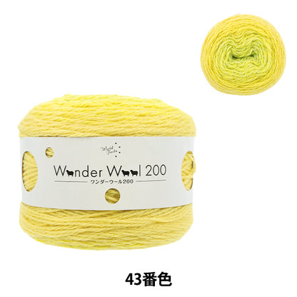 Wonder Wool 200 Color 43 yarn ball - long-gradient fall/winter yarn