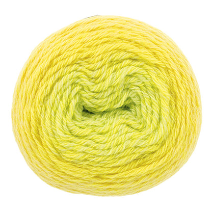 Wonder Wool 200 Color 43 top view showing radial gradient