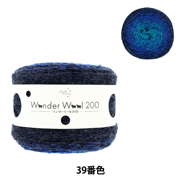 Wonder Wool 200 Color 39 yarn ball - long-gradient fall/winter yarn