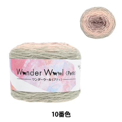 秋冬纱线 "Wonder Wool Petit 10号颜色JX-211'' World Festa World Festa [Yuzawaya原件]