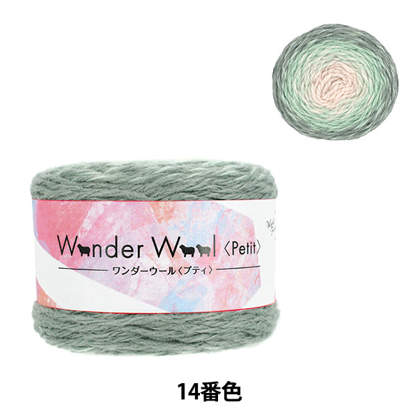 Осень/ЗимаПряжа "Wonder Wool Petit № 14 цвет JX-211'' World Festa World Festa [YuzawayaOriginal]