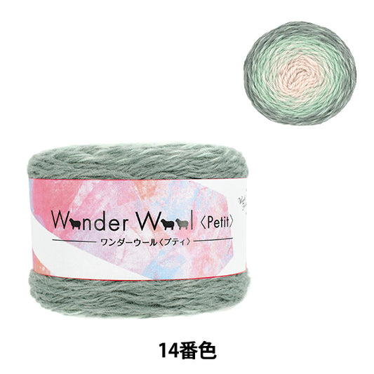 Herbst/WinterGarn "Wonder Wool Petit Nr. 14 Farbe JX-211'' World Festa World Festa [YuzawayaOriginal]