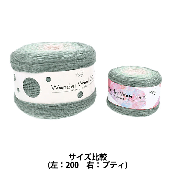 秋冬纱线 "Wonder Wool Petit 35号颜色JX-211'' World Festa World Festa [Yuzawaya原件]