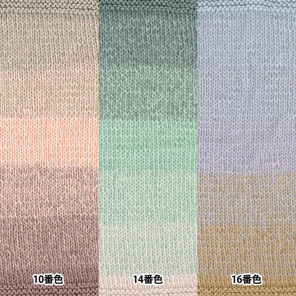 秋冬纱线 "Wonder Wool Petit 10号颜色JX-211'' World Festa World Festa [Yuzawaya原件]