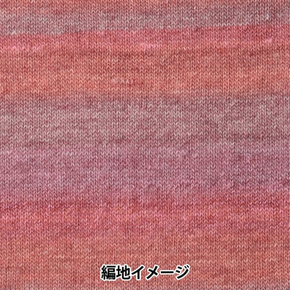 Fall and winterYarn "MONA (Mona) 22101 color" WORLD FESTA World Festa