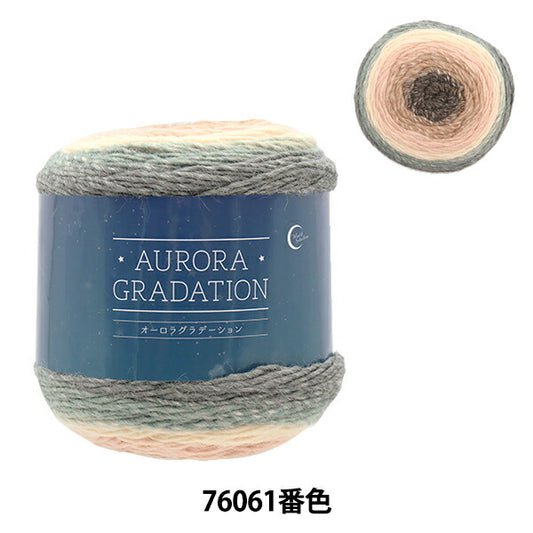 Fall and winterYarn "Aurora Gradation 76061 color"