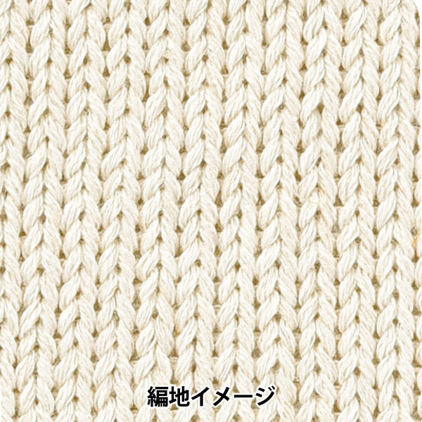 Nature Roll Yarn 1 | Yuzawaya Limited