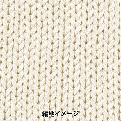 Nature Roll Yarn 1 | Yuzawaya Limited