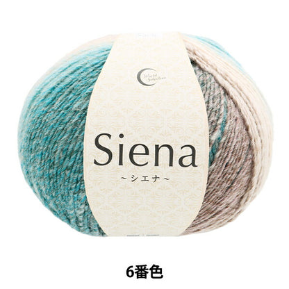 Fall and winterYarn "Siena 6th color" WORLD FESTA World Festa