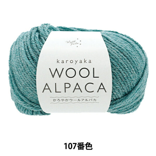 Fall and winterYarn "Slowly woolAlpaca 107th color "WORLD FESTA World Festa