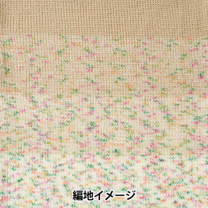 Automne et hiverpelote de laine "Wonder Wool Annex 114 Color Hazelnut JX-211" FESTA WORLD FESTA FESTA [Yuzawayaoriginal】