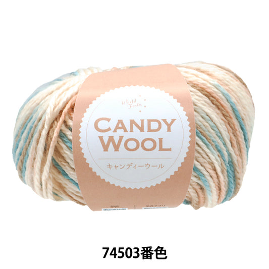 Fall/WinterYarn "Candy Wool Color 74503" World Festa [Yuzawayaoriginal】