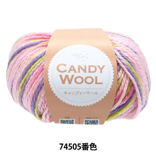 Fall/WinterYarn "Candy Wool Color 74505" World Festa [Yuzawayaoriginal】