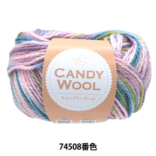 Fall/WinterYarn "Candy Wool Color 74508" World Festa [Yuzawayaoriginal】