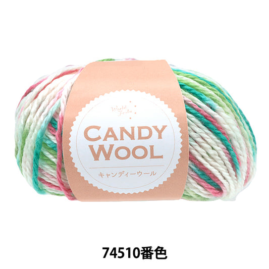 Fall/WinterYarn "Candy Wool Color 74510" World Festa [Yuzawayaoriginal】