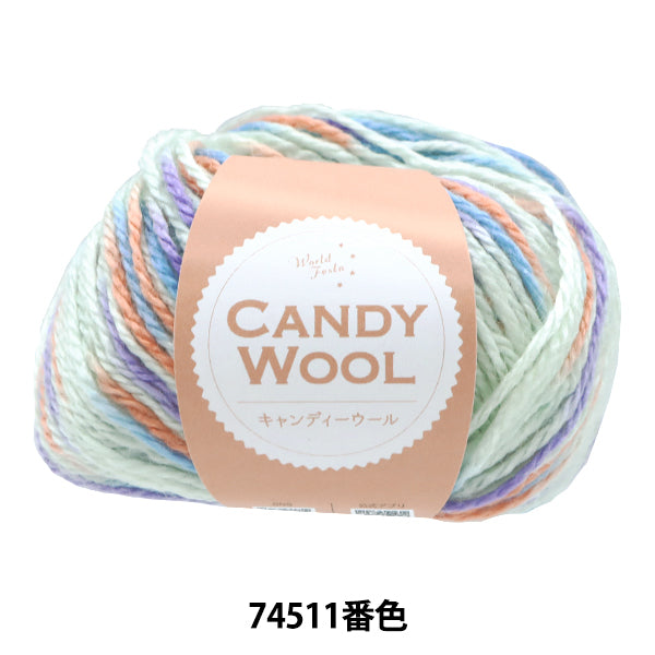 Fall/WinterYarn "Candy Wool Color 74511" World Festa [Yuzawayaoriginal】