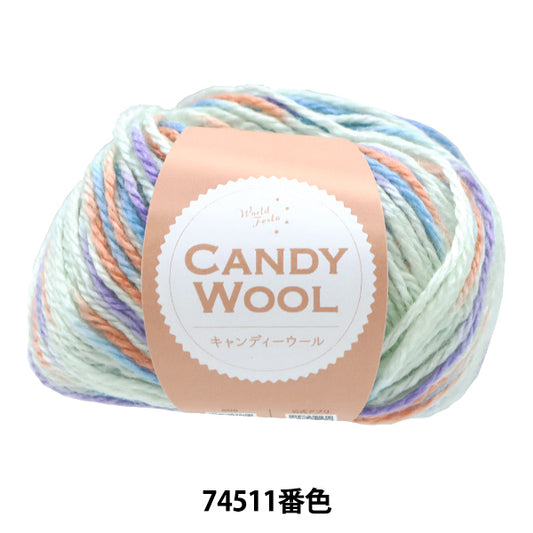 Fall/WinterYarn "Candy Wool Color 74511" World Festa [Yuzawayaoriginal】