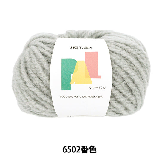 Herbst/WinterGarn „Ski Pal 6502 Farbe“ SKIYARN Skigarn