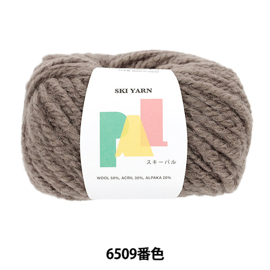 Herbst/WinterGarn „Ski Pal Nr. 6509“ SKIYARN Skigarn